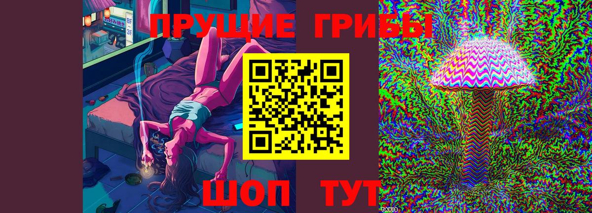Псилоцибиновые грибы Cubensis  Галлюциногенные грибы прущие грибы  Вход с VPN  Братск 